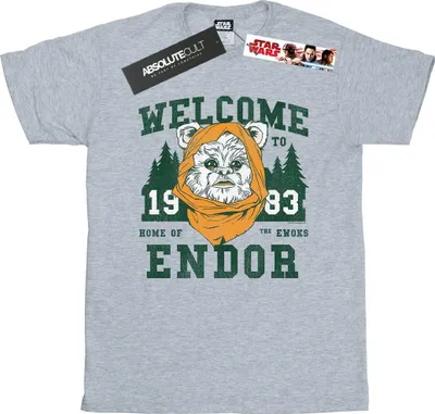 Obrázok produktu pre Star Wars - Pánske tričko "Endor Camp" BI46382 (M) (Grey)