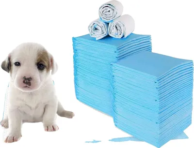 Produktbild von Welpenunterlagen, saugfähiges Material, 100 Stück, blau weiß