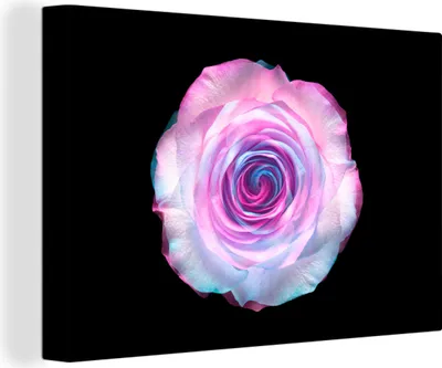Obrázek produktu pro OneMillionCanvasses® - Obrazy na plátně - 140x90 cm, Rose - Abstraktní - Barvy, Nástěnné umění tisk Nástěnná dekorace - Fotografie na plátně - Obraz na dřevěném rámu