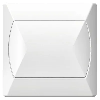 Image de Interrupteur Simple Blanc Ospel Accent