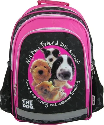 Image de Sac à dos pour chien PL15TD29