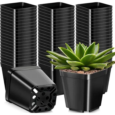 Produktbild von Quadratischer Pflanztopf Anzuchttopf 10 cm - Kunststoff - Schwarz - 50 Stück