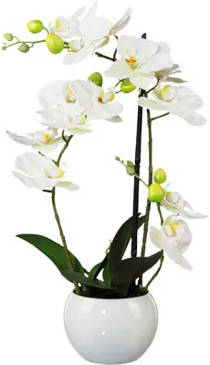 Obrázok produktu pre Umelá kvetina orchidea phalaenopsis 3D-tlač v keramickom kvetináči 42 cm biela Real Touch
