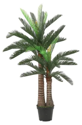 Obrázok produktu pre Sľudové dekorácie Umelá rastlina Cycas - H150 x Ø100 cm - zelená