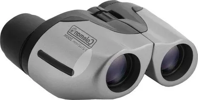 Immagine prodotto di Binocolo compatto con zoom 7-21x color argento e lenti di alta qualità