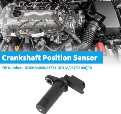 Image de 1 Capteur De Position Du Vilebrequin Pour Nissan Qashqai 1.5 Dci 08-10 Robuste MšŠtal Plastique Noir Capteur De Vilebrequin Du Moteur Ckp