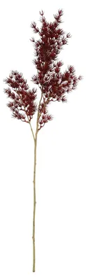 Produktbild von Countryfield Kunstblume Asparagus bordeaux Dekozweig 73cm