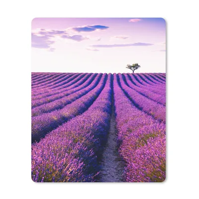 Produktbild von MuchoWow® Mauspad Mousepad Lavendel - Bäume - Lila - Blumen 19x23 cm - Mousepads - Maus Mat - Pad - Mausunterlage - Mauspads - Spielen