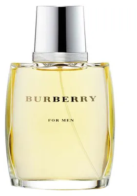 Productafbeelding van Burberry For Men (Testversie), Herenparfum, 100 ml, Niet navulbare flacon, Bergamot, Lavendel, Munt, Tijm, Pelargonium, Mos, Sandelhout, Amber, Cederhout