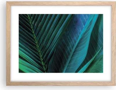 Produktbild von Gerahmtes Poster - Rahmen in heller Eiche - Blatt Tropen Grün - 40x30 cm - Wand Bild - Wanddeko - Wandbilder - Kunstposter - Wandposter - Bilderrahmen - Bilder - Kunstdruck - P2NAA40x30-5071
