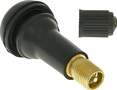Immagine prodotto di Valvola per pneumatici tubeless lunga TR413