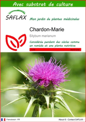Image de SAFLAX  - Chardon-Marie - 75 graines - Avec substrat - Silybum