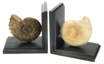 Productafbeelding van Meander boekensteun set, schelpmodel, 28x9x14 cm