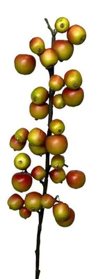 Image de Branche artificielle de Malus 70cm vert/rouge