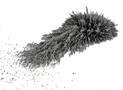 Produktbild von Magnetfeld-Eisenpulver 100g für Magnetfeldexperimente, zum Sichtbarmachen von Feldlinien