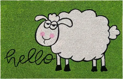 Produktbild von Fußmatte für die Tür HELLO Schaf 40x60 cm