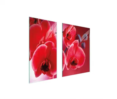 Produktbild von Herdabdeckplatten 2 teilig 75x52 Glaskeramikkochfeld Abdeckung Glas Schneidebrett Orchidee Rot