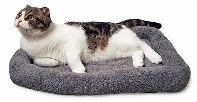 Image de Panier pour chat, lavable, de forme rectangulaire, gris, dimensions : 60 x 45 x 30 cm