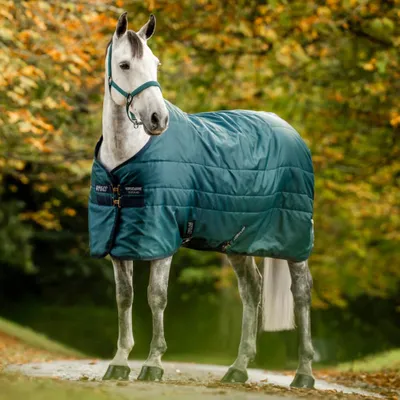 Obrázok produktu pre Decke Horseware Stalldecke, veľkosť 125 - Amigo Diamond Insulator, 100 g - farba: zelená/tmavomodrá a strieborná