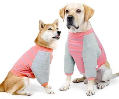 Productafbeelding van Solidchoice- Herstelpak L - Hoge elastische elleboogbeschermer - Honden kleding - Anti-likken - Ademend materiaal - Bescherming voor voorbenen - Hondenkleding