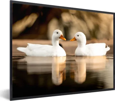 Produktbild von MuchoWow® Gerahmtes Poster Ente - Weiß - Tiere - Wasser - Vogel - Enten 40x30 cm - Poster mit Schwarzem Bilderrahmen Wandposter Rahmen Foto Bilder - Kunstposter - Wanddekorationen