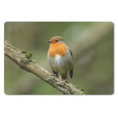 Produktbild von MuchoWow® Mauspad Mousepad Vogel - Rotkehlchen - Zweig - Pflanzen 27x18 cm - Mousepads - Maus Mat - Pad - Mausunterlage - Büroartikel - Desk Matten