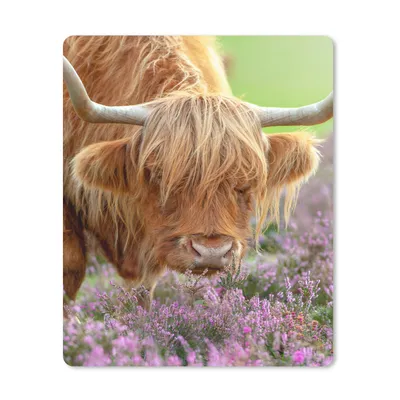 Produktbild von MuchoWow® Mauspad Mousepad Schottischer Highlander - Lila - Blumen 19x23 cm - Mousepads - Maus Mat - Pad - Mausunterlage - Mauspads - Spielen