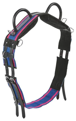 Produktbild von Busse Longiergurt DOUBLE, Größe:Shetty, Farbe:navy/passion pink