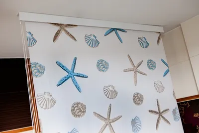 Produktbild von Halb-Kassetten Duschrollo 140x240 cm Modell Oceanic
