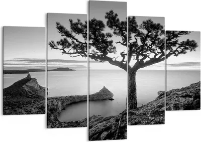 Produktbild von Bild auf Leinwand - Leinwandbild - 5 Teile - Baum Schwarzweiß Ansicht - 150x100cm - Wand Bild - Wanddeko - Wandbilder - Leinwanddruck - Bilder - Wanddekoration - Leinwand bilder - EA150x100-4297