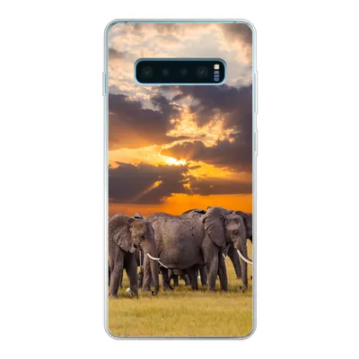 Produktbild von MuchoWow® Handyhülle Schutzhülle Hülle für Samsung Galaxy S10 Plus Elefant - Tiere - Gras - Sonnenuntergang - Natur Silikon Softcase Handy Hülle - Schutzhülle