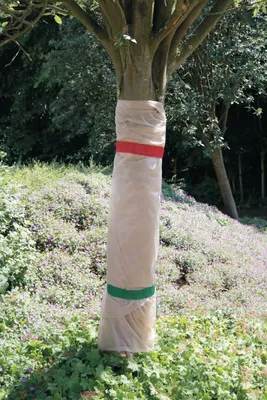 Image de Non-tissé de protection hivernale 1,5x5m Protection des plantes contre le gel Protection hivernale Protection contre le froid