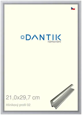 Zdjęcie produktu dla Rama DANTIK 21x29,7 | Profil ALU 7002 srebrny mat (szkło przezroczyste)