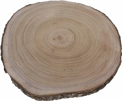 Produktbild von Großes Dekobrett Holz Holzbrett Baumscheibe Brett Tischdeko Tablett Deko Ø 40 cm