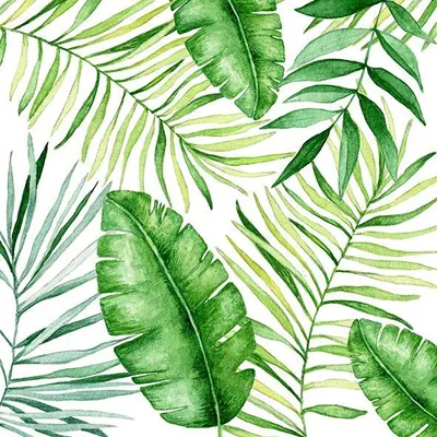 Produktbild von 20 Servietten Jungle Leaves - Dschungelblätter grün 33x33cm