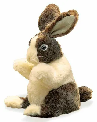 Produktbild von Folkmanis Baby Dutch Rabbit, Handpuppe, Tier, 1 Stück(e)