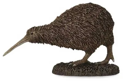 Imagen del producto de COLLECTA Kiwi