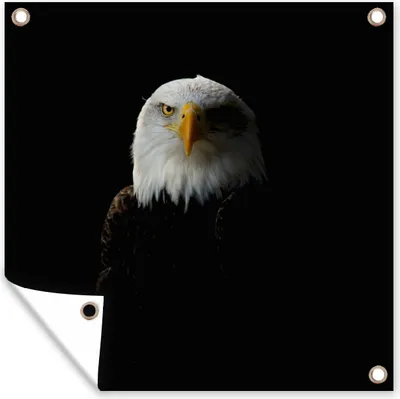 Produktbild von MuchoWow® 50x50 cm Outdoor-Poster Gartendeko Sichtschutz Garten Poster für den Garten  Adler - Vogel - Schwarz