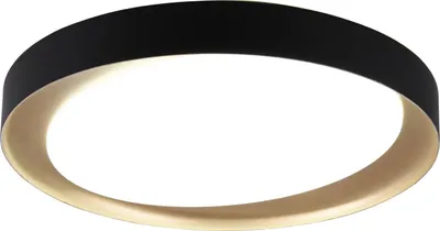 Produktbild von TRIO ZETA, 1 Glühbirne(n), LED, 2000 lm, IP20, Schwarz