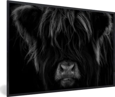 Produktbild von MuchoWow® Gerahmtes Poster Schottischer Highlander - Kuh - Porträt - Tiere - Schwarz - Weiß 30x20 cm - Poster mit Schwarzem Bilderrahmen Wandposter Rahmen Foto Bilder - Kunstdruck - Bild-Poster
