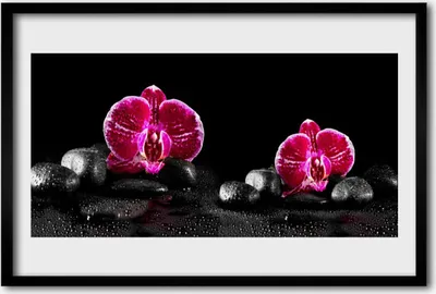 Produktbild von Bild 60x40 MDF-Rahmen Wandkunst Orchid for Peace