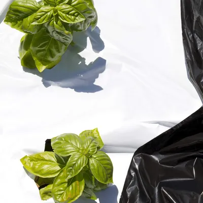 Productafbeelding van TENAX Zwart-Witte Bodembedekking, 1,40 x 10 meter, zwart/wit, onkruiddoek, bevordert de groei van planten, beschermt groenten en fruit