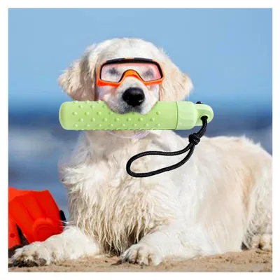 Produktbild von Schwimmendes Hundespielzeug - Interaktives Wasserspielzeug für Hunde für den Außenbereich