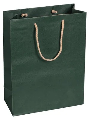 Image de Sacs en papier verts, 22 x 29 x 10 cm, avec cordon en coton - lot de 12
