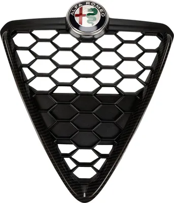 Produktbild von Kühlergrill 156138710