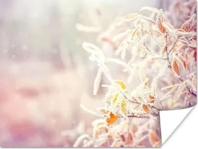 Produktbild von MuchoWow® Poster Winter - Äste - Schnee - Natur 160x120 cm - Foto Plakat