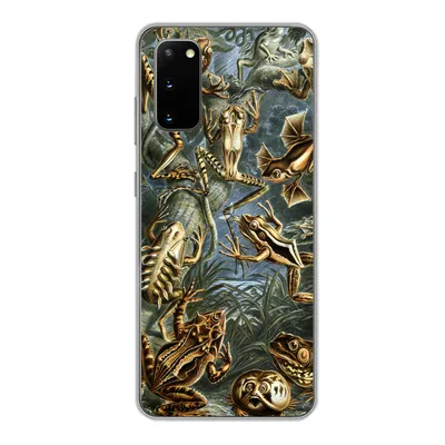 Produktbild von MuchoWow® Handyhülle Schutzhülle Hülle für Samsung Galaxy S20 Batrachia - Haeckel - Alte Meister Silikon Softcase Handy Hülle - Bild