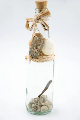 Produktbild von Dekoflasche mit Muscheln Maritim