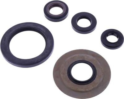 Immagine prodotto di Kit paraoli e guarnizioni motore TOURMAX OSL-217 per Yamaha XV 750 SE SPECIAL