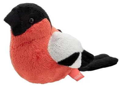 Image de Guillemot de Troïl 13cm
